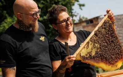 Imkerei Knotzer aus Donnerskirchen