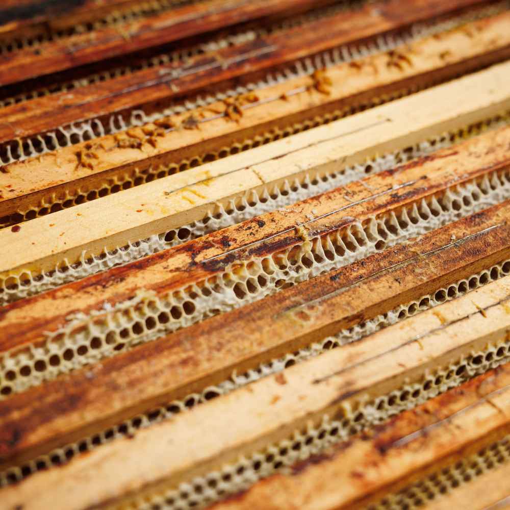 imkerei-knotzer-honig-wabenrahmen-donnerskirchen Glas Honig mit Marille